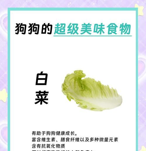 狗吃富含纤维的食物有什么好处？如何选择合适的纤维食物？
