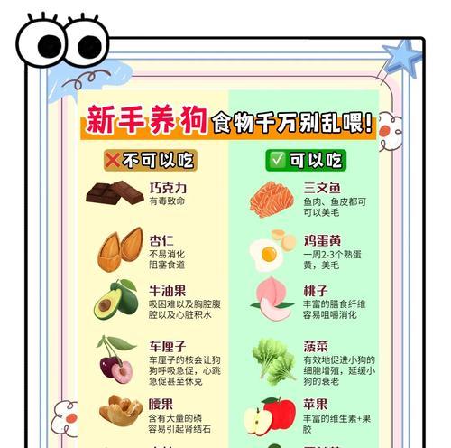 狗吃富含纤维的食物有什么好处？如何选择合适的纤维食物？