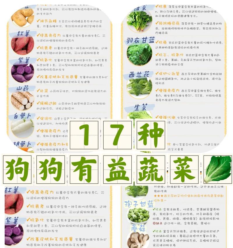 狗吃富含纤维的食物有什么好处？如何选择合适的纤维食物？