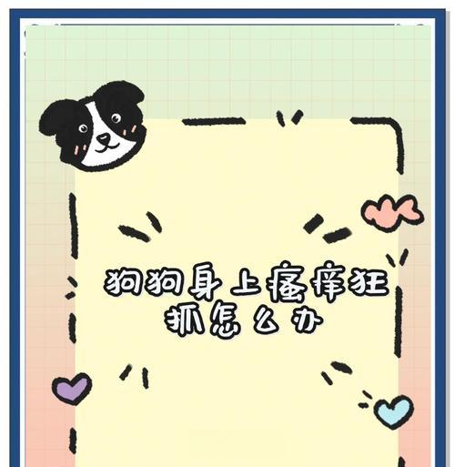 狗狗痒挠出血的解决办法有哪些？