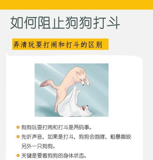 小狗狗家里没人时怎么办？有哪些安全措施可以采取？