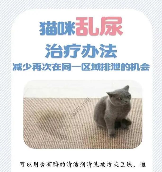 猫尿味难以去除怎么办？有效去除猫尿味的方法有哪些？