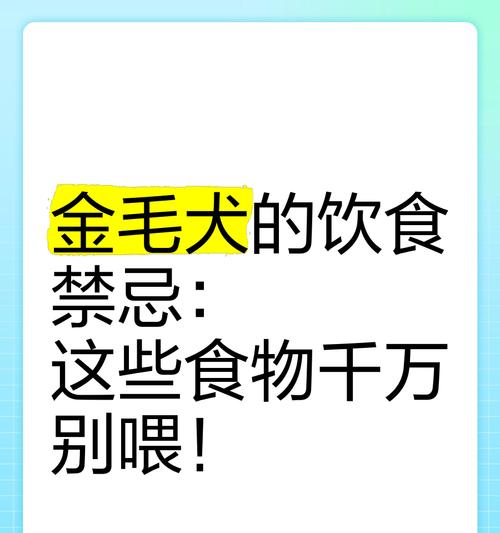 金毛可以吃狗粮拌饭吗？对健康有影响吗？
