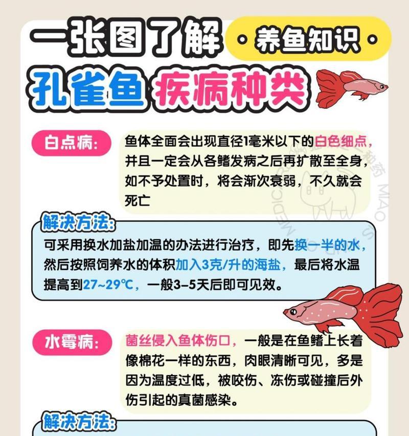 孔雀鱼常见疾病有哪些？如何预防和治疗？