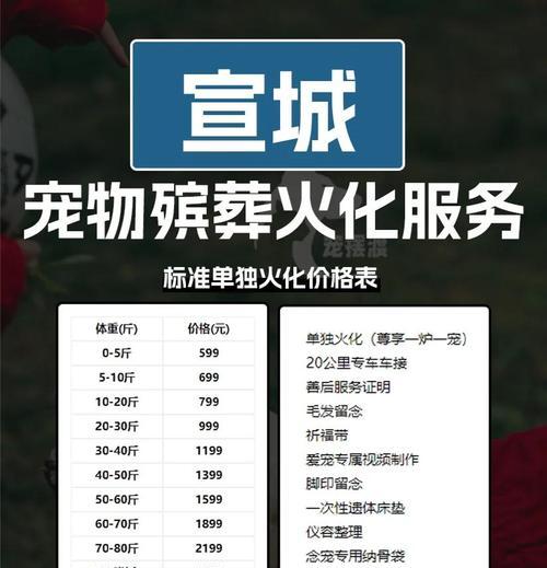 猫咪死在家里是吉是凶？如何处理宠物的离世？