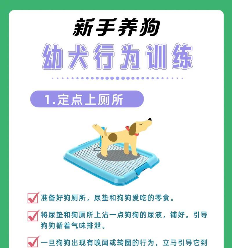 猎犬训练中常见的问题有哪些？如何有效解决？