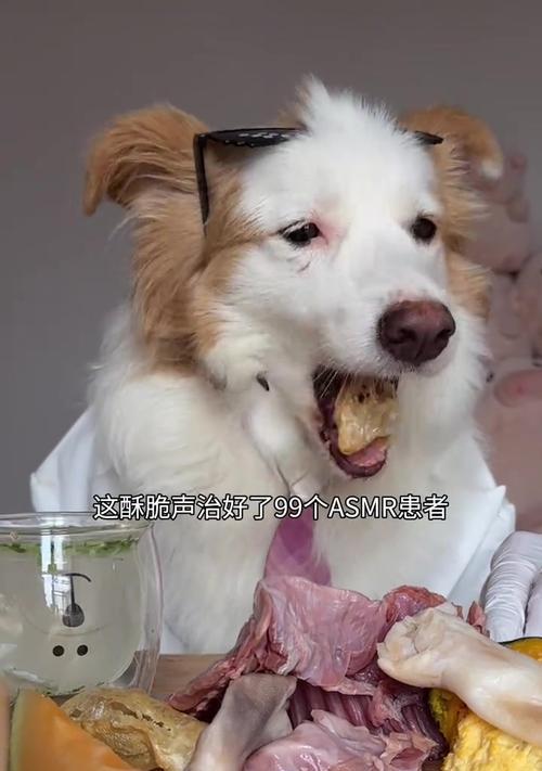 狗狗吃兔耳朵安全吗？