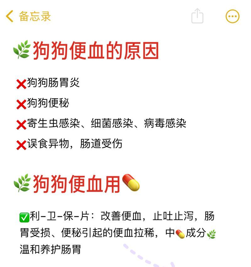 小狗拉血便是什么原因？如何处理？