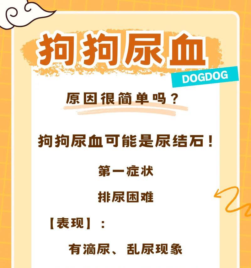 小狗拉血便是什么原因？如何处理？