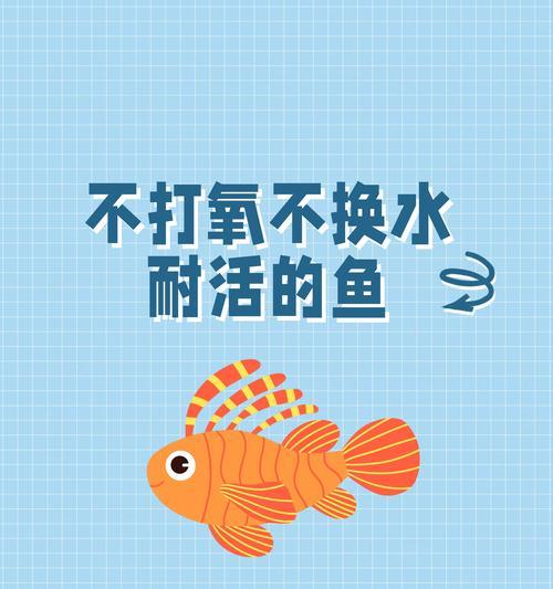 金鱼打氧能带来哪些好处？