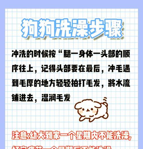狗狗驱虫后几天能洗澡？洗澡的最佳时机是什么时候？