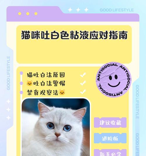 猫吐白色粘稠液体是什么原因？如何处理？