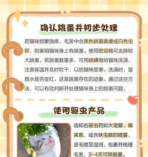 刚出生的小猫身上有跳蚤怎么处理？如何预防跳蚤？