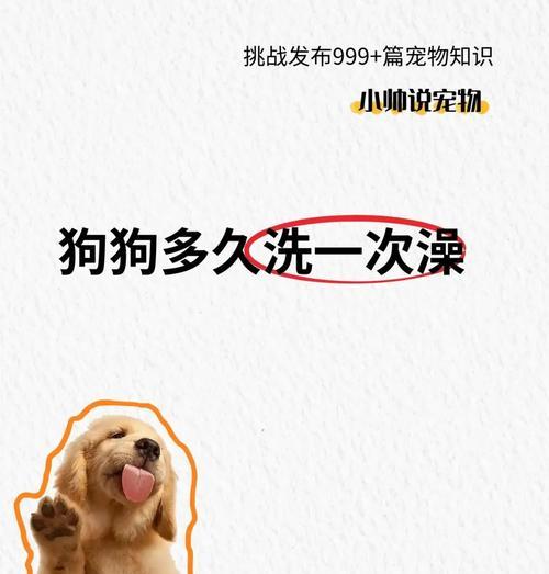 刚满月的小狗能洗澡吗？洗澡的正确时机是什么时候？