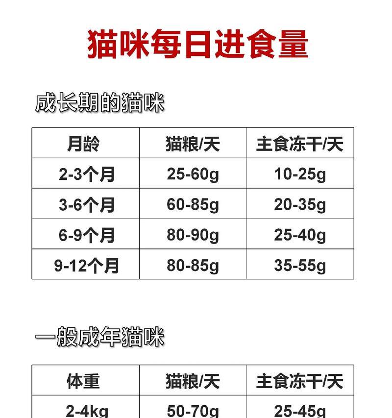 40天小猫每日猫粮量是多少？如何正确喂食？