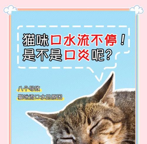 猫流口水是正常的吗？有哪些可能的健康问题？