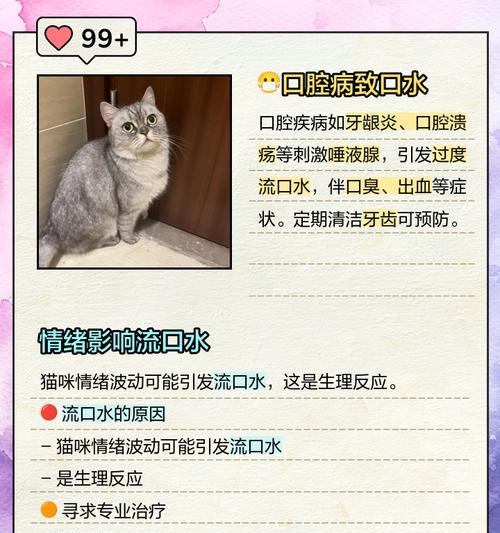 猫流口水是正常的吗？有哪些可能的健康问题？