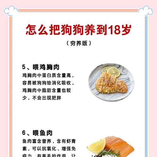 如何健康喂养小狗？小狗饮食管理的要点是什么？