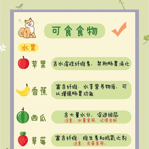 如何健康喂养小狗？小狗饮食管理的要点是什么？