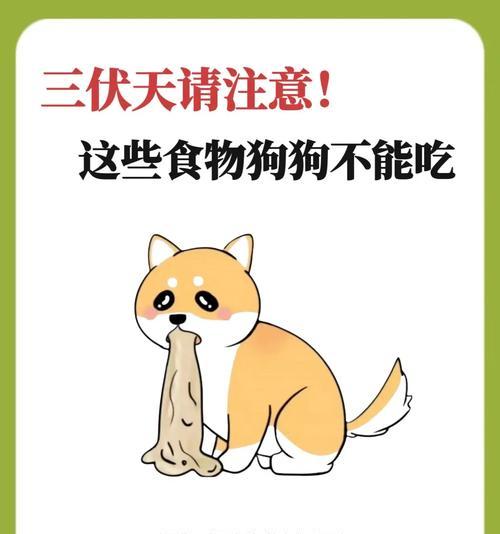 狗狗食用韭菜饺子安全吗？有哪些潜在风险？