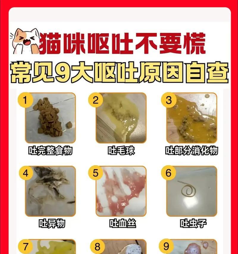 小猫总是干呕是什么原因？有哪些处理方法？