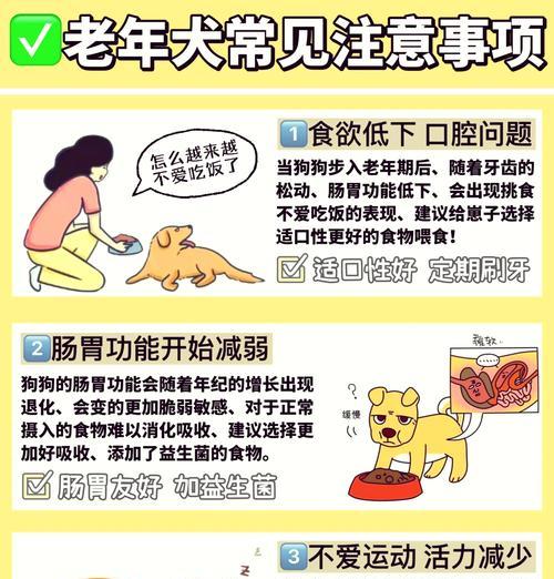 夏季苏格兰牧羊犬食欲不振怎么办？如何调整饮食？