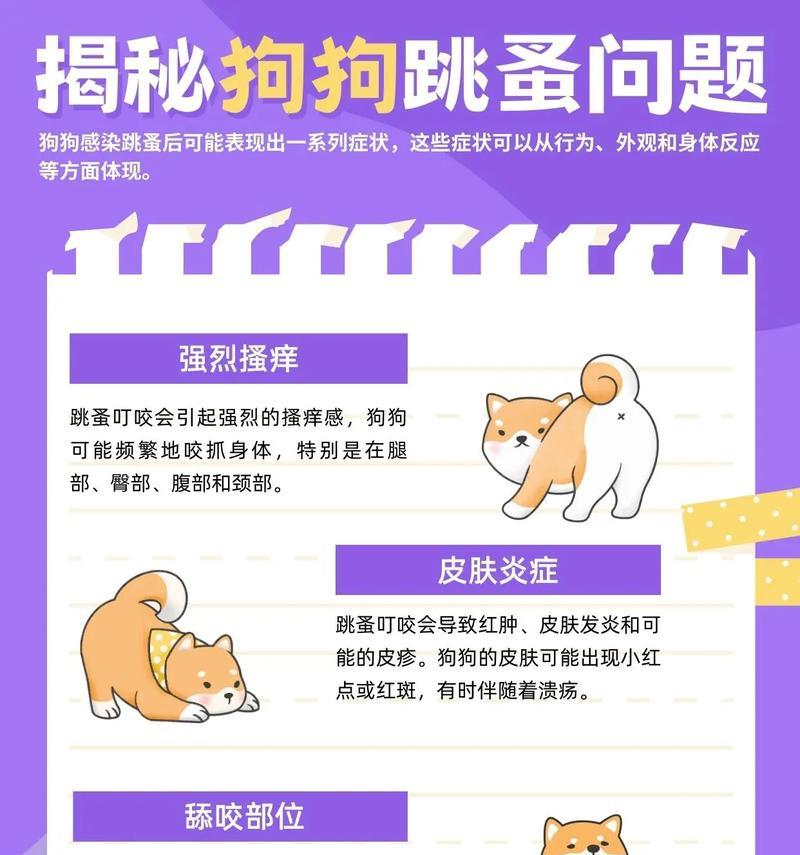 如何有效预防狗狗身上出现跳蚤？