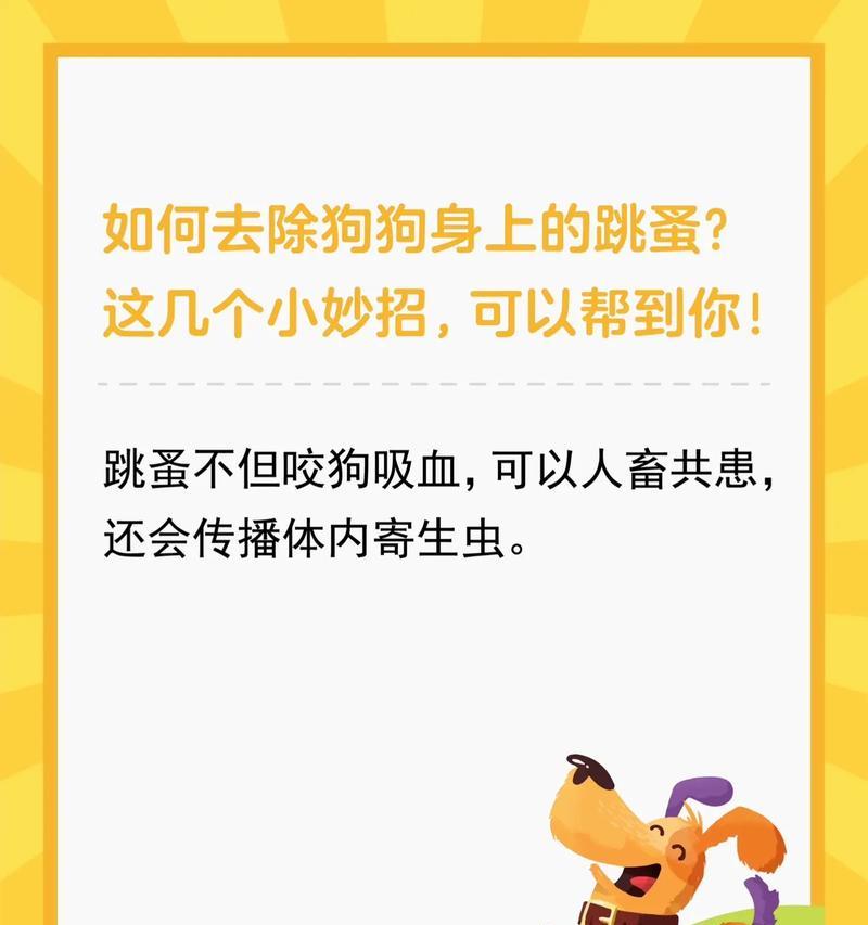 如何有效预防狗狗身上出现跳蚤？