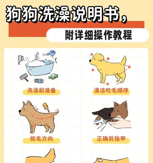 如何正确给狗狗洗澡？有哪些步骤和注意事项？