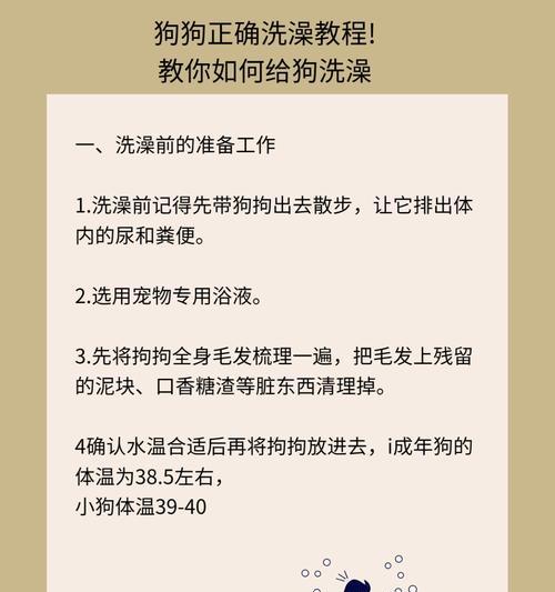 如何正确给狗狗洗澡？有哪些步骤和注意事项？