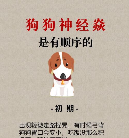 灵堤犬拉浠的常见原因是什么？如何进行有效的治疗？
