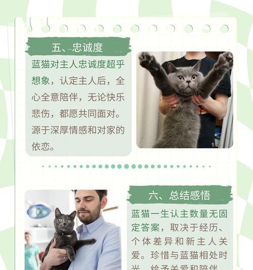 猫咪会认主吗？它们是如何表达对主人的依赖的？