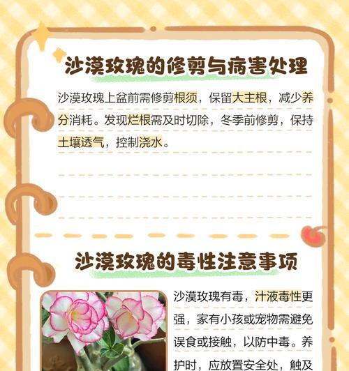 沙漠玫瑰养殖有哪些技巧？需要注意什么？