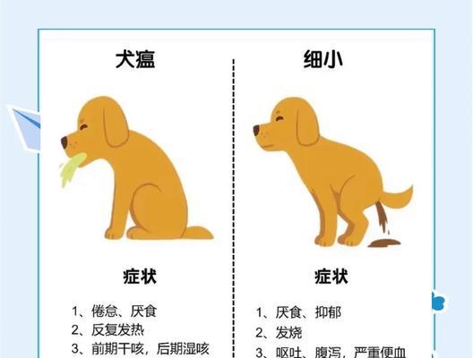 狗狗得了细小有哪些症状？如何及时发现和处理？