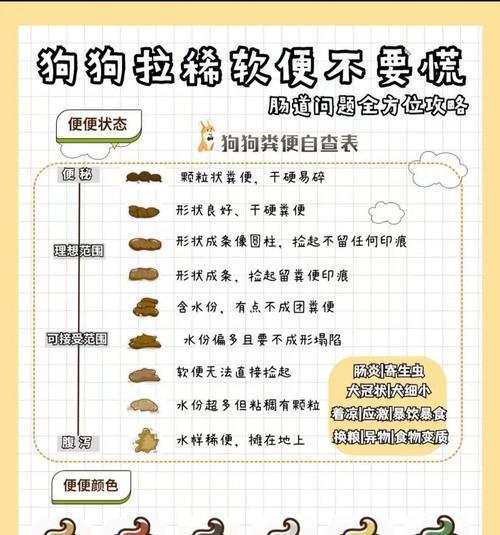 狗狗大便次数多是什么原因？如何判断是否正常？