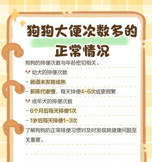 狗狗大便次数多是什么原因？如何判断是否正常？