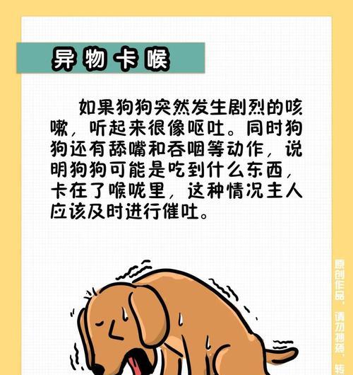狗狗干咳干呕咔的日常观察要点是什么？