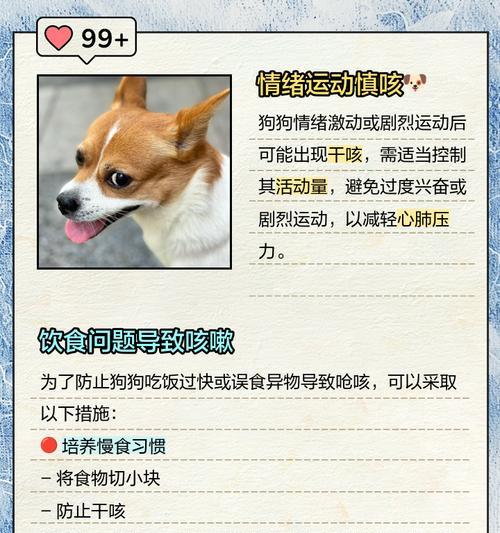 狗狗干咳干呕咔的日常观察要点是什么？