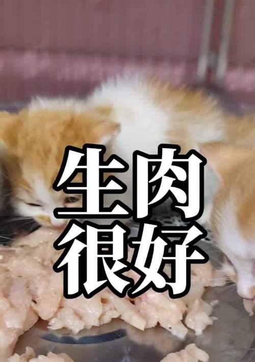 幼猫每天应该吃多少鸡胸肉？