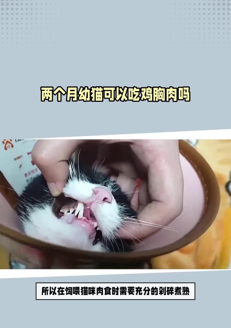幼猫每天应该吃多少鸡胸肉？