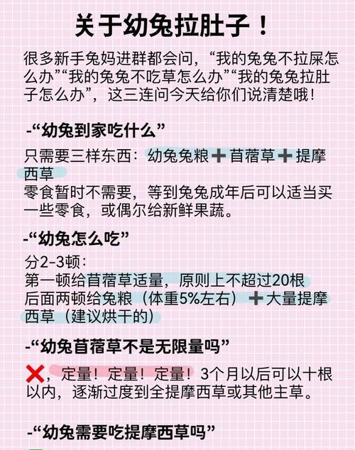 刚满月兔子拉稀如何处理？有哪些方法？