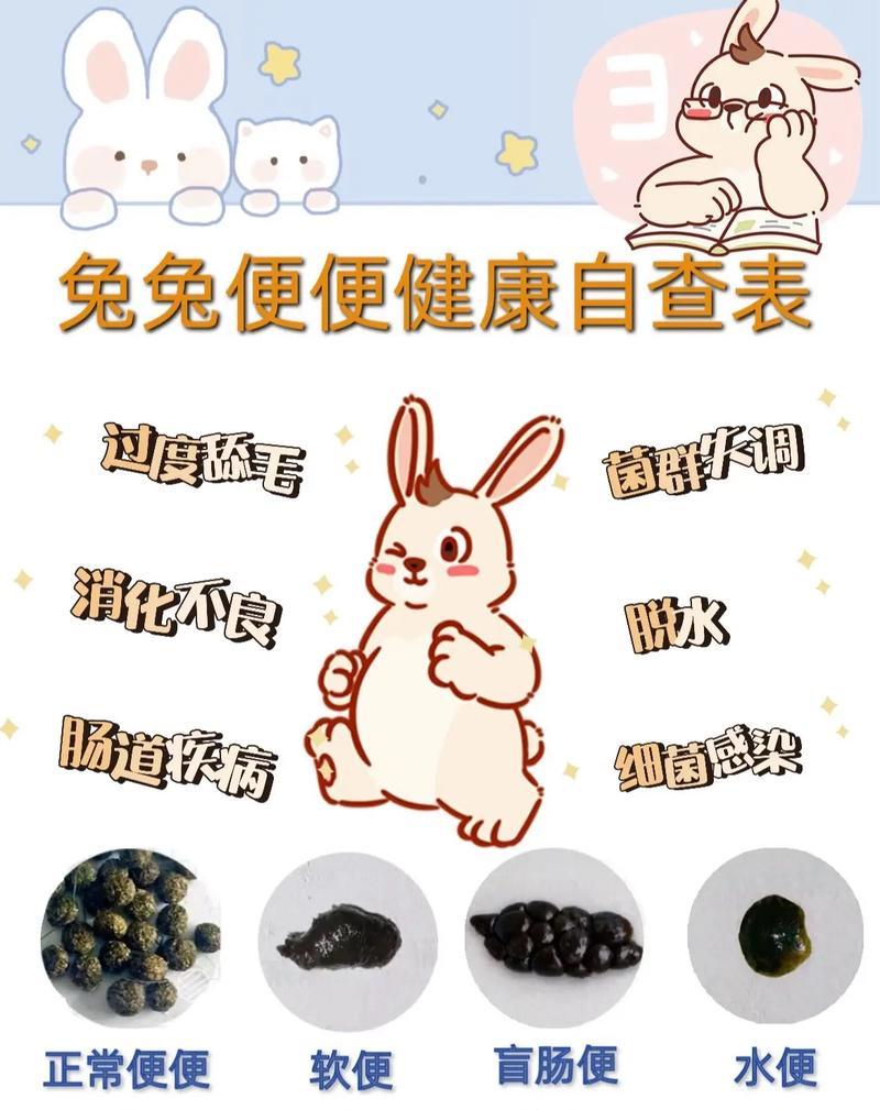 刚满月兔子拉稀如何处理？有哪些方法？