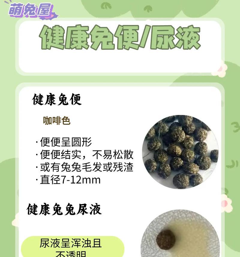 刚满月兔子拉稀如何处理？有哪些方法？