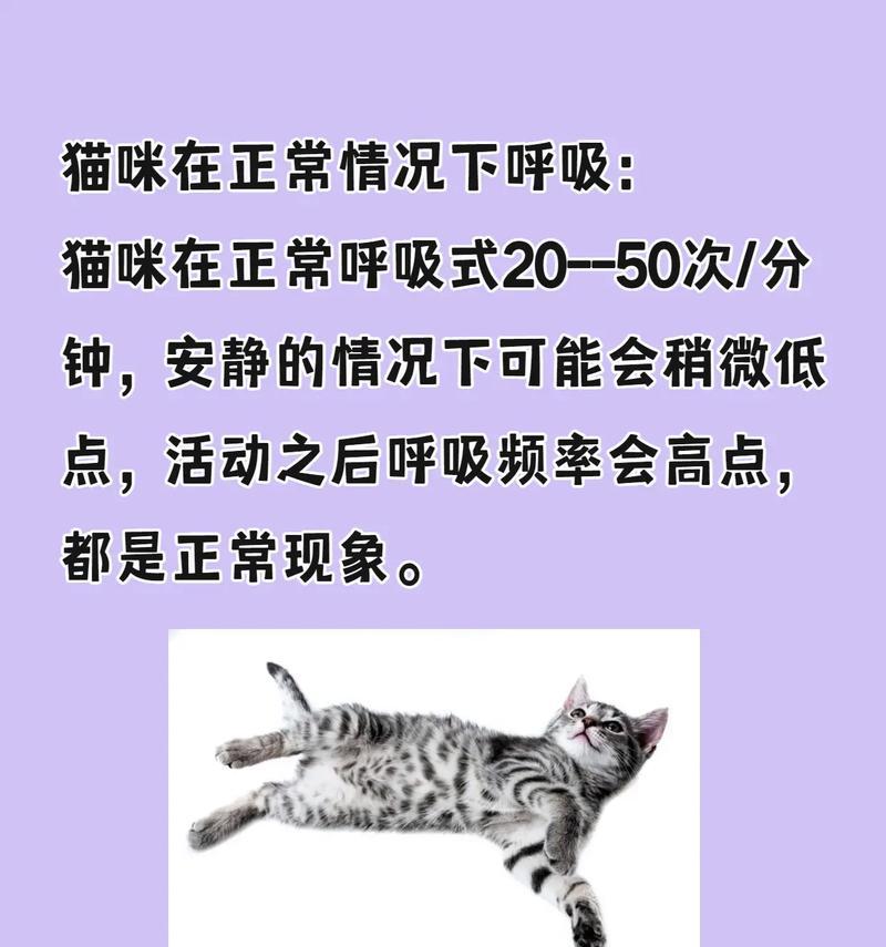 夏天猫咪呼吸急促是正常现象吗？原因是什么？