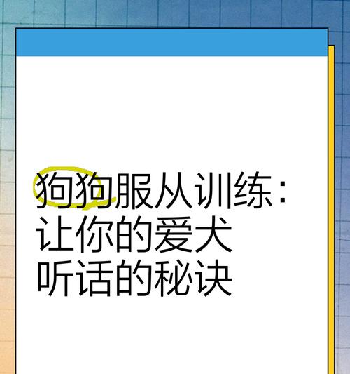 猎犬训练中如何增强狗狗的服从性？