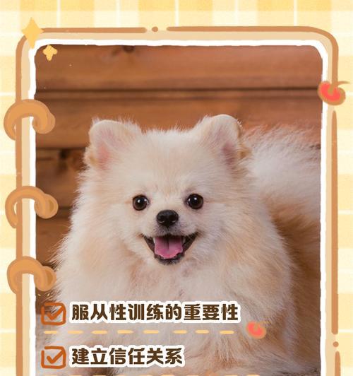 猎犬训练中如何增强狗狗的服从性？