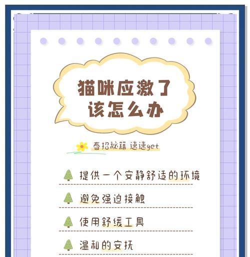 猫咪春天为什么会乱叫乱跑？如何安抚猫咪？