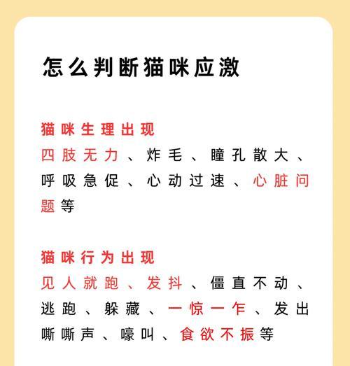 猫咪春天为什么会乱叫乱跑？如何安抚猫咪？