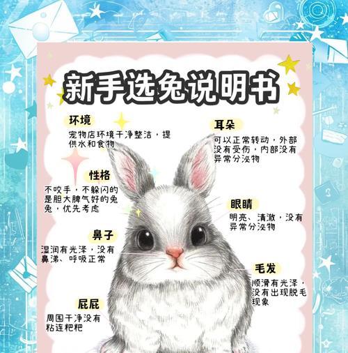 新手如何判断兔子是否怀孕？有哪些迹象？