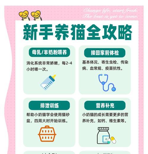 养猫需要办理哪些证件？流程是怎样的？